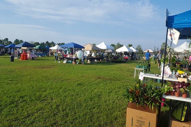 Outdoor market