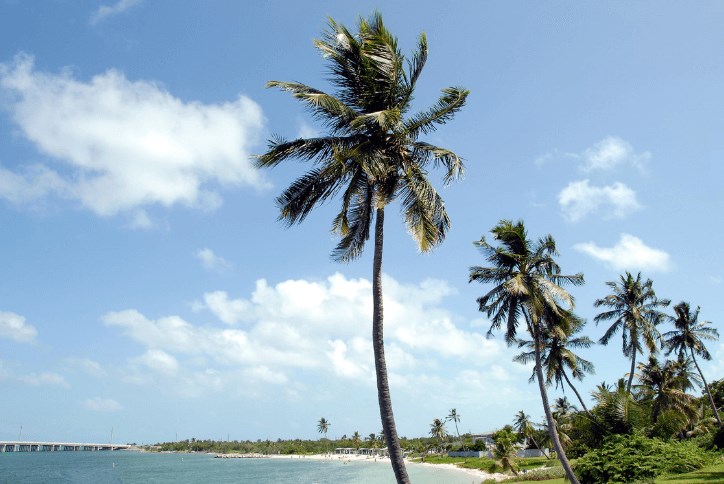 Florida living Beach