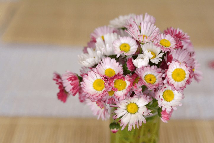 Mothers Day Flowers